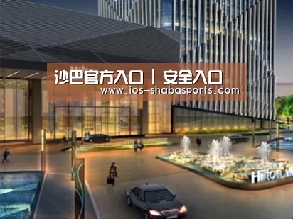 案例展示二