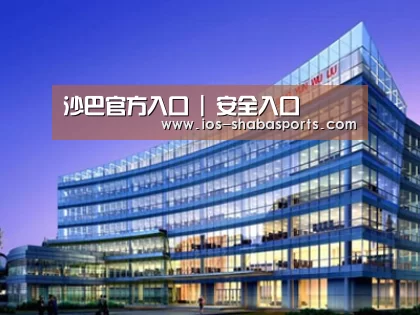 案例展示五