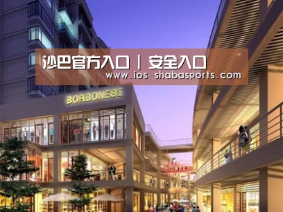案例展示一