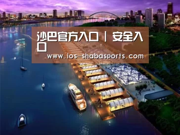 案例展示八