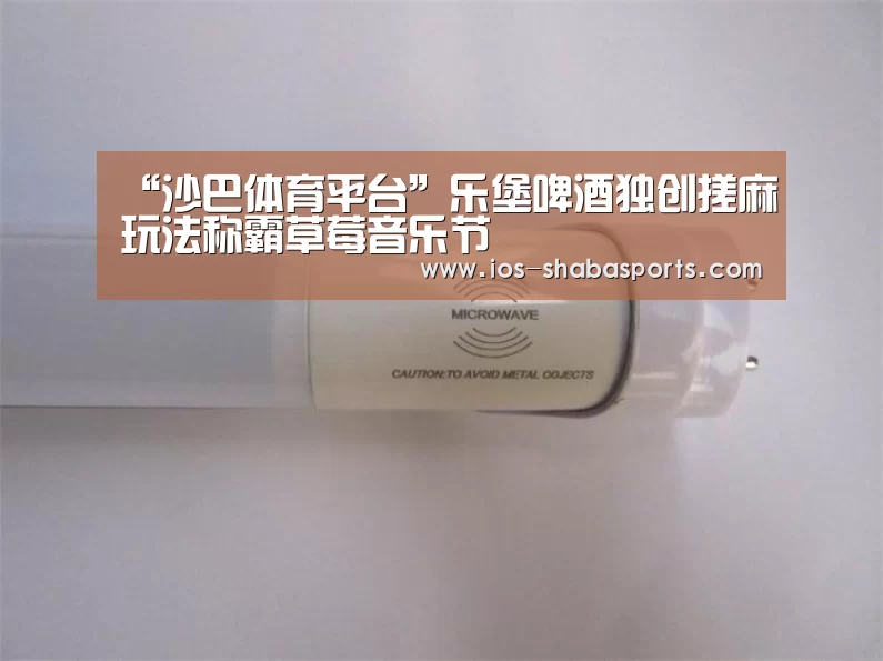 “沙巴体育平台”乐堡啤酒独创搓麻玩法称霸草莓音乐节(图1) 沙巴体育平台