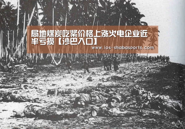 局地煤炭吃紧价格上涨火电企业近半亏损【沙巴入口】(图1) 沙巴入口