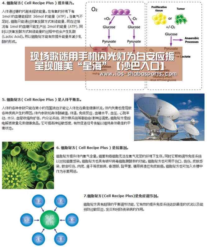 现场歌迷用手机闪光灯为白安应援 呈现唯美“星海”【沙巴入口】(图1) 沙巴体育平台