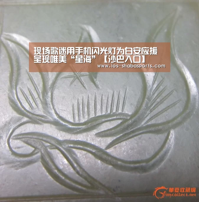 现场歌迷用手机闪光灯为白安应援 呈现唯美“星海”【沙巴入口】(图2) 沙巴体育注册登录