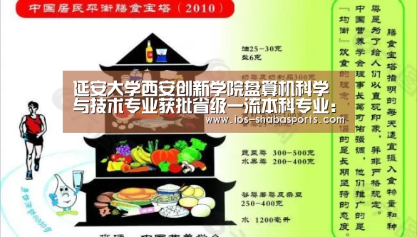 延安大学西安创新学院盘算机科学与技术专业获批省级一流本科专业:沙巴体育注册登录(图3) 沙巴体育官网